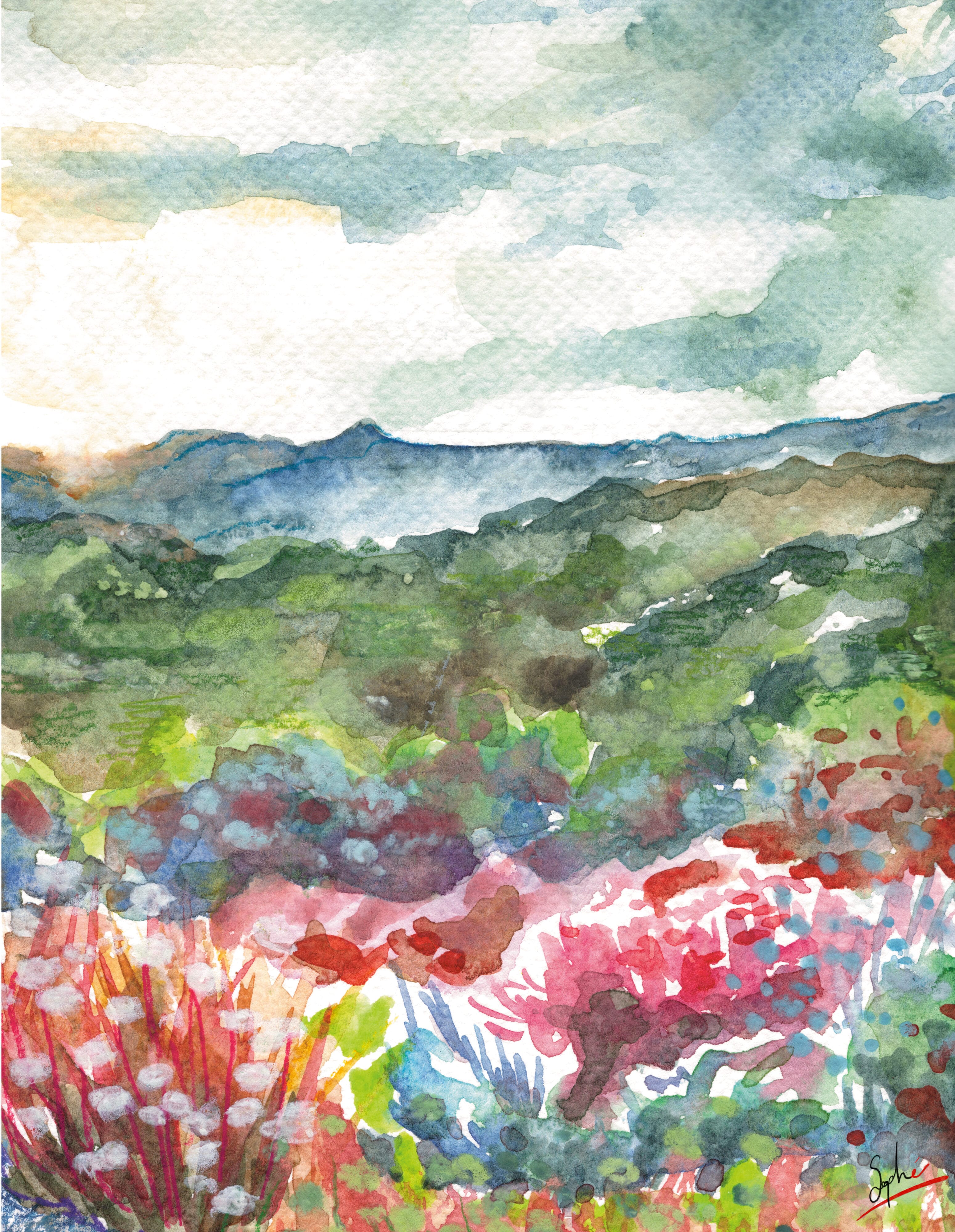 Champ et nuage par Sophé