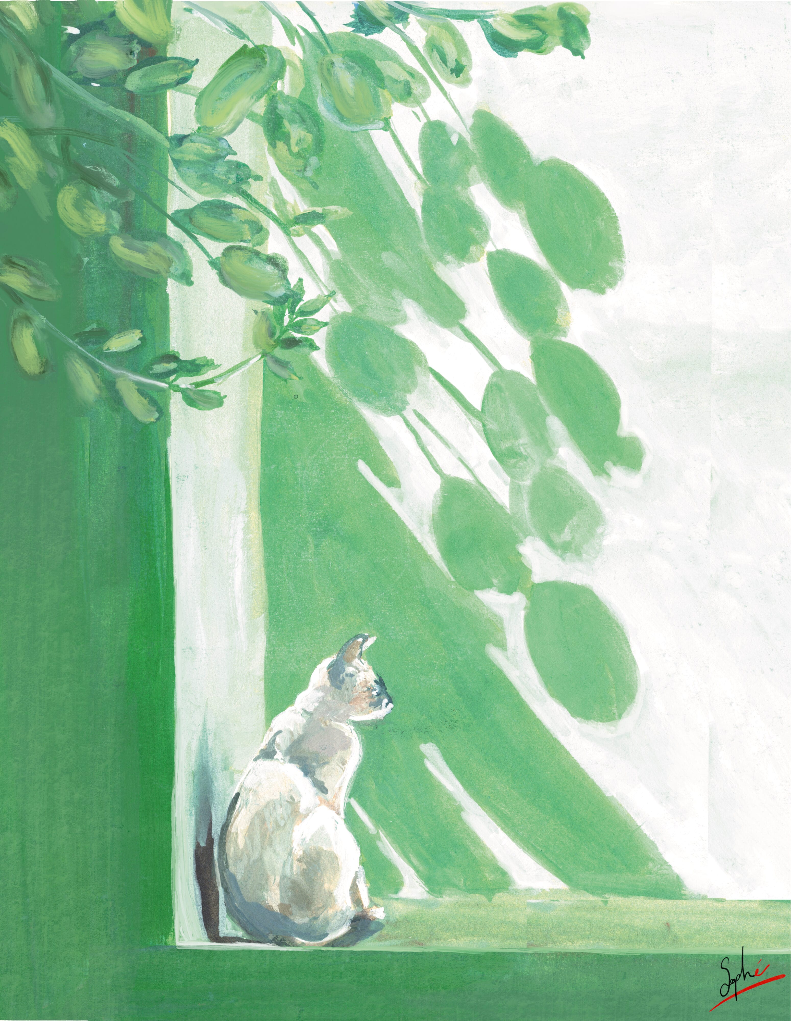 Chat siamois et ombre verte par Sophé