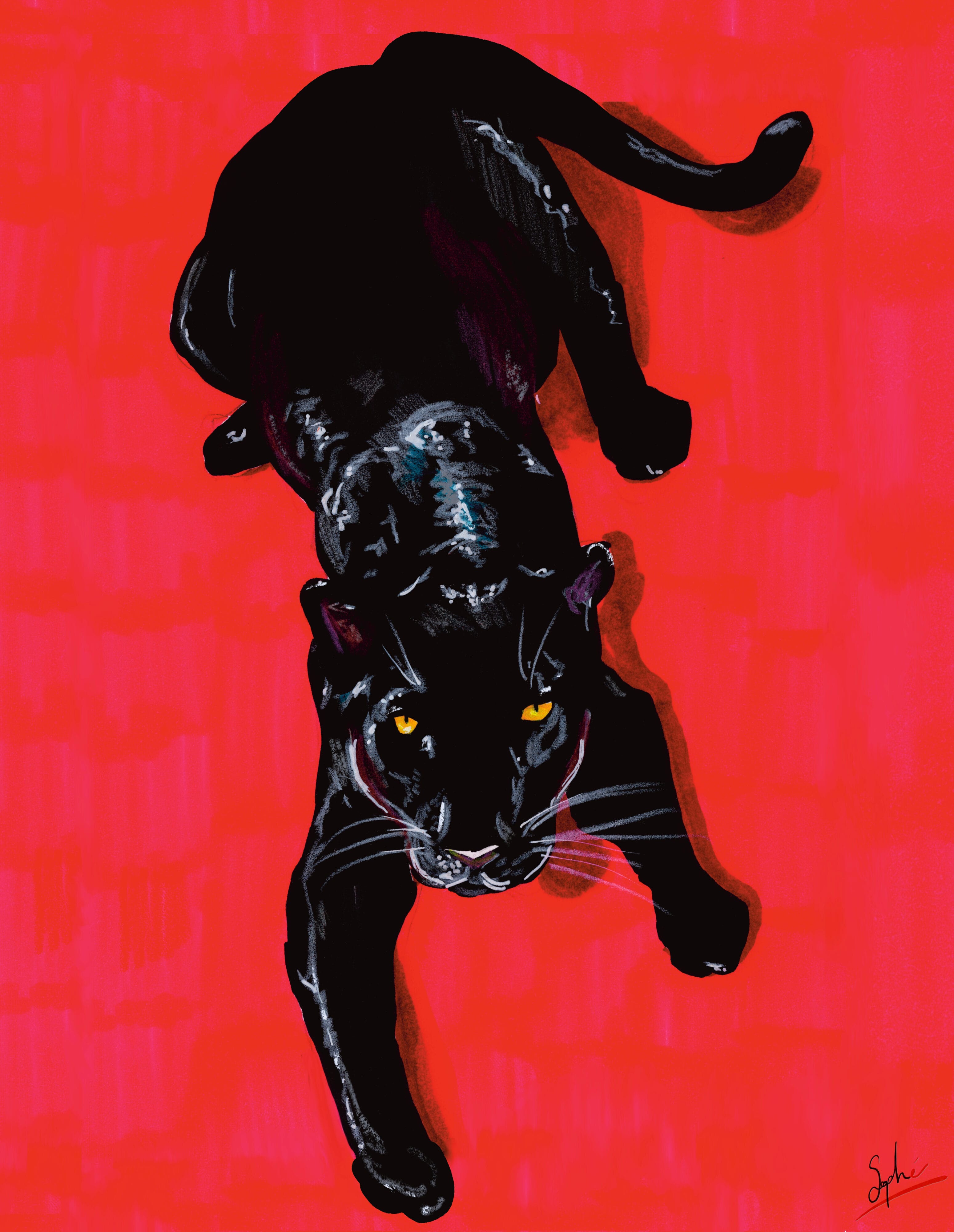 Panthère rouge par Sophé