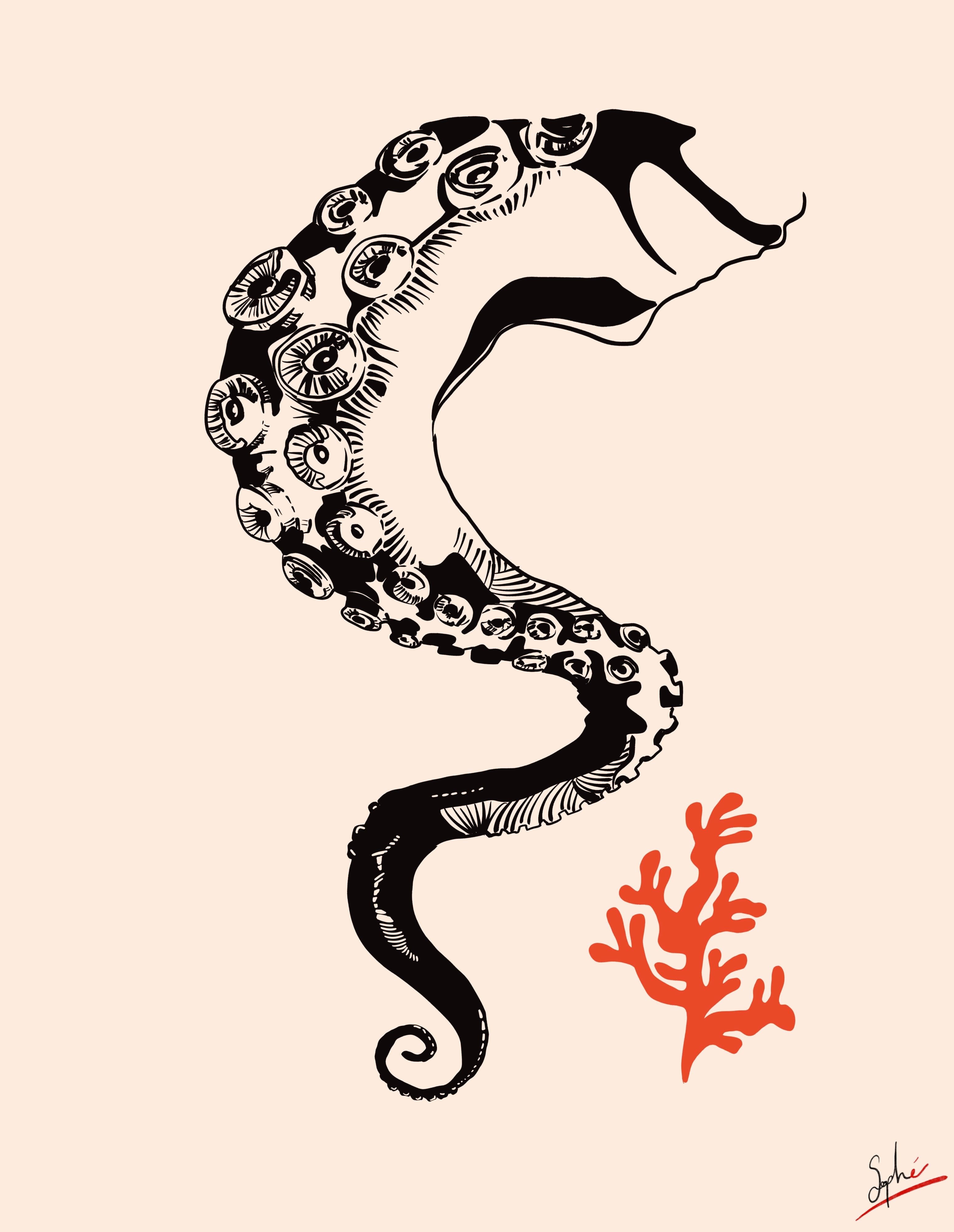 Poulpe et corail par Sophé