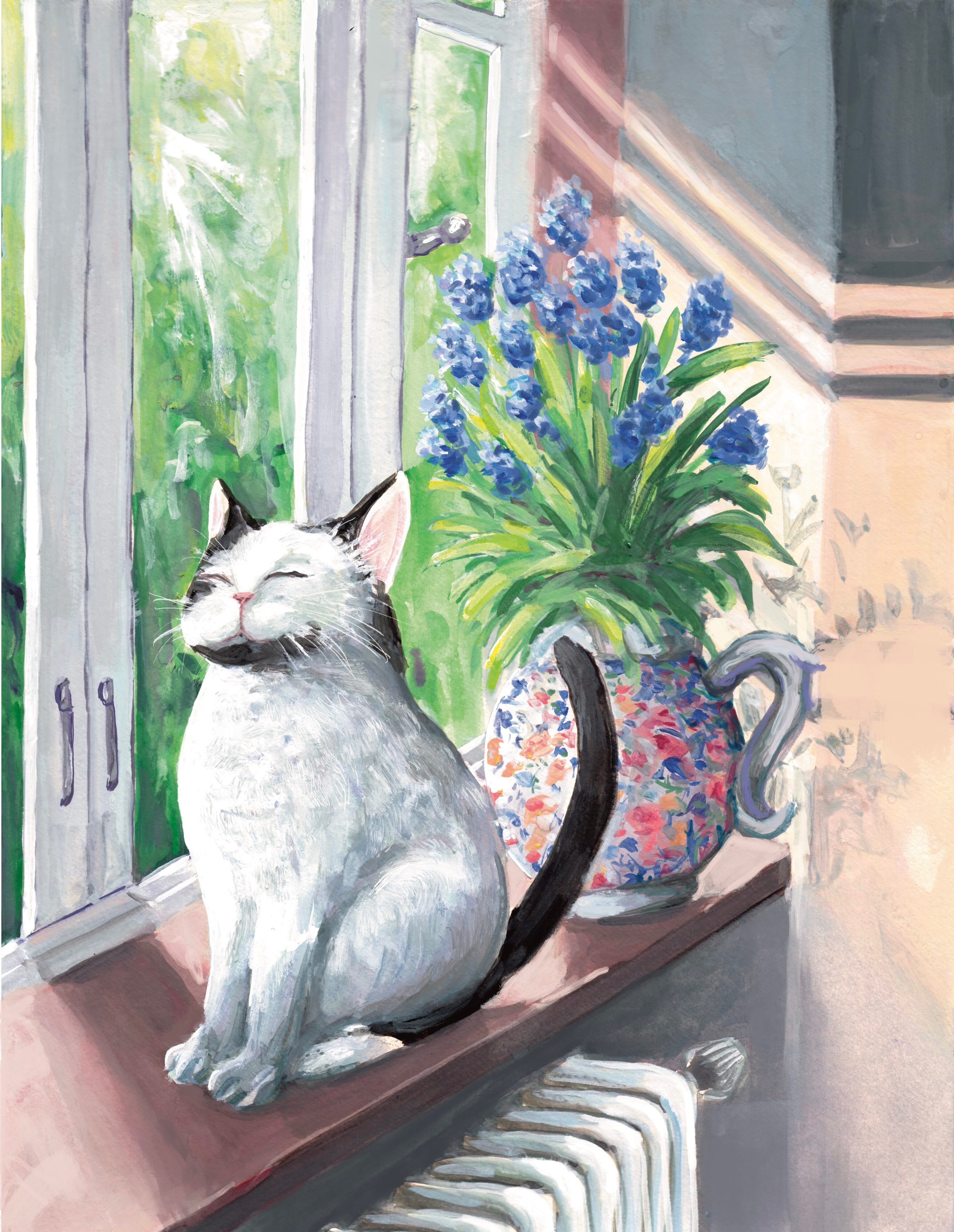 Un bain de soleil par Sophé