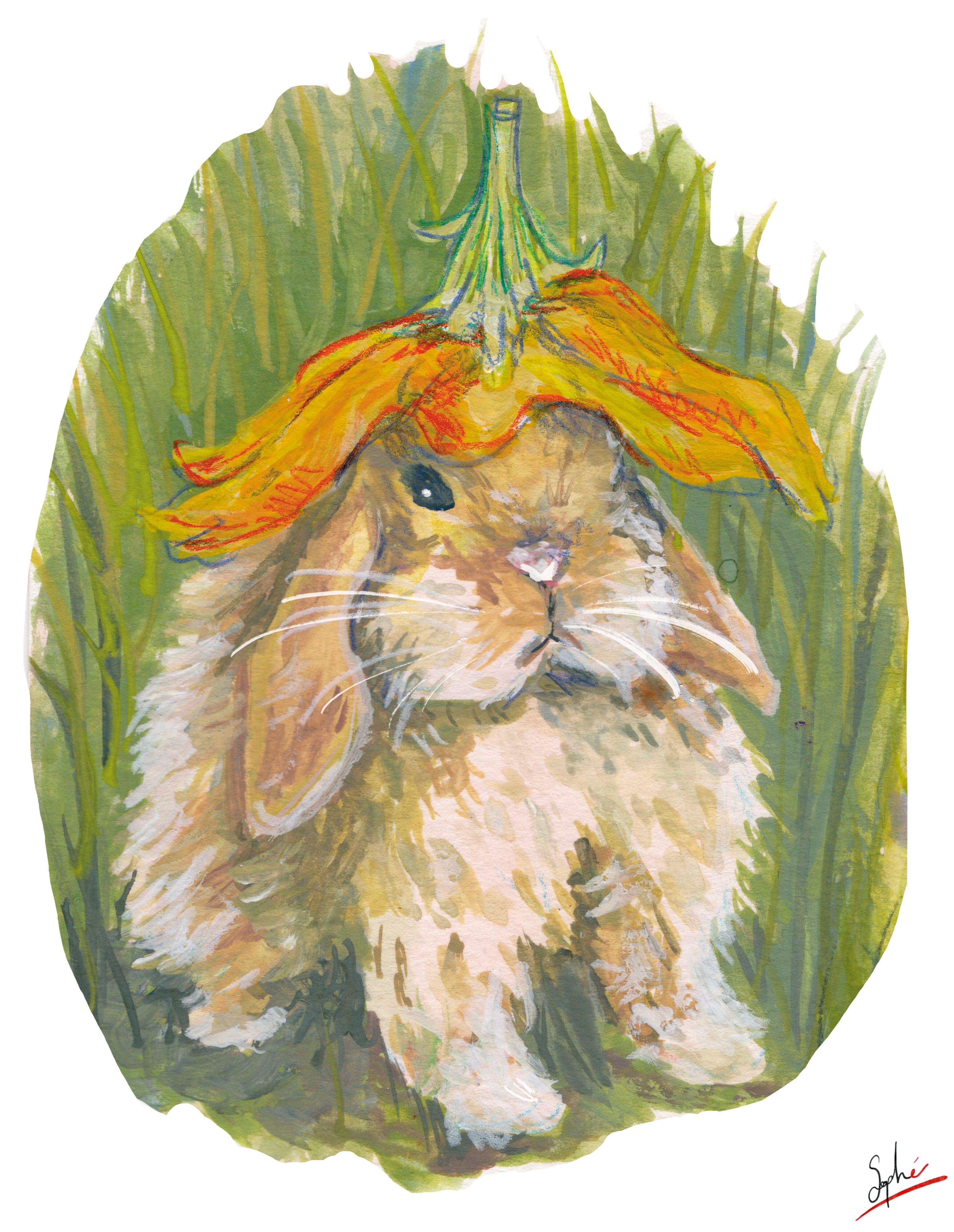 Lapin au chapeau capucine par Sophé