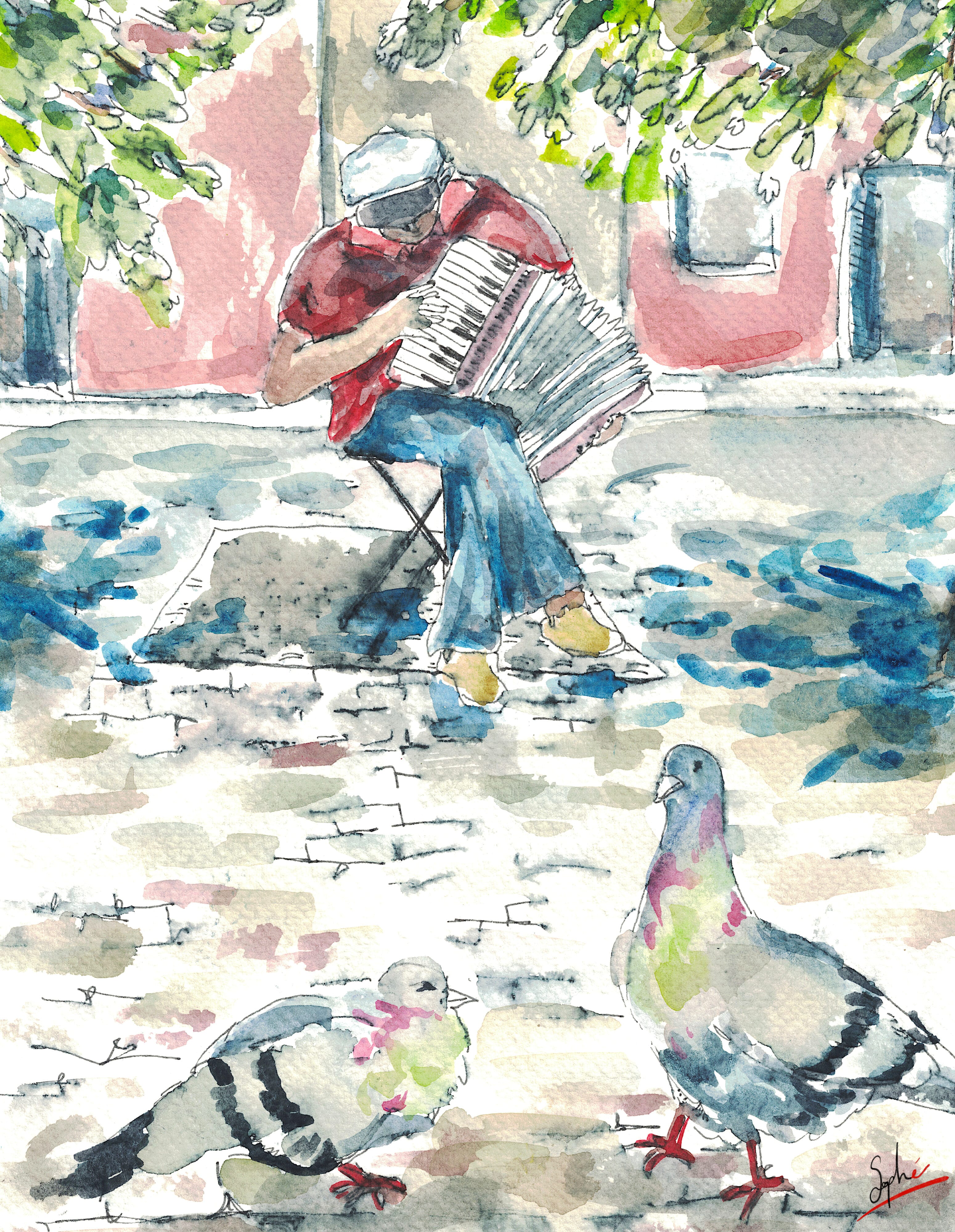 Pigeons et accordéon par Sophé