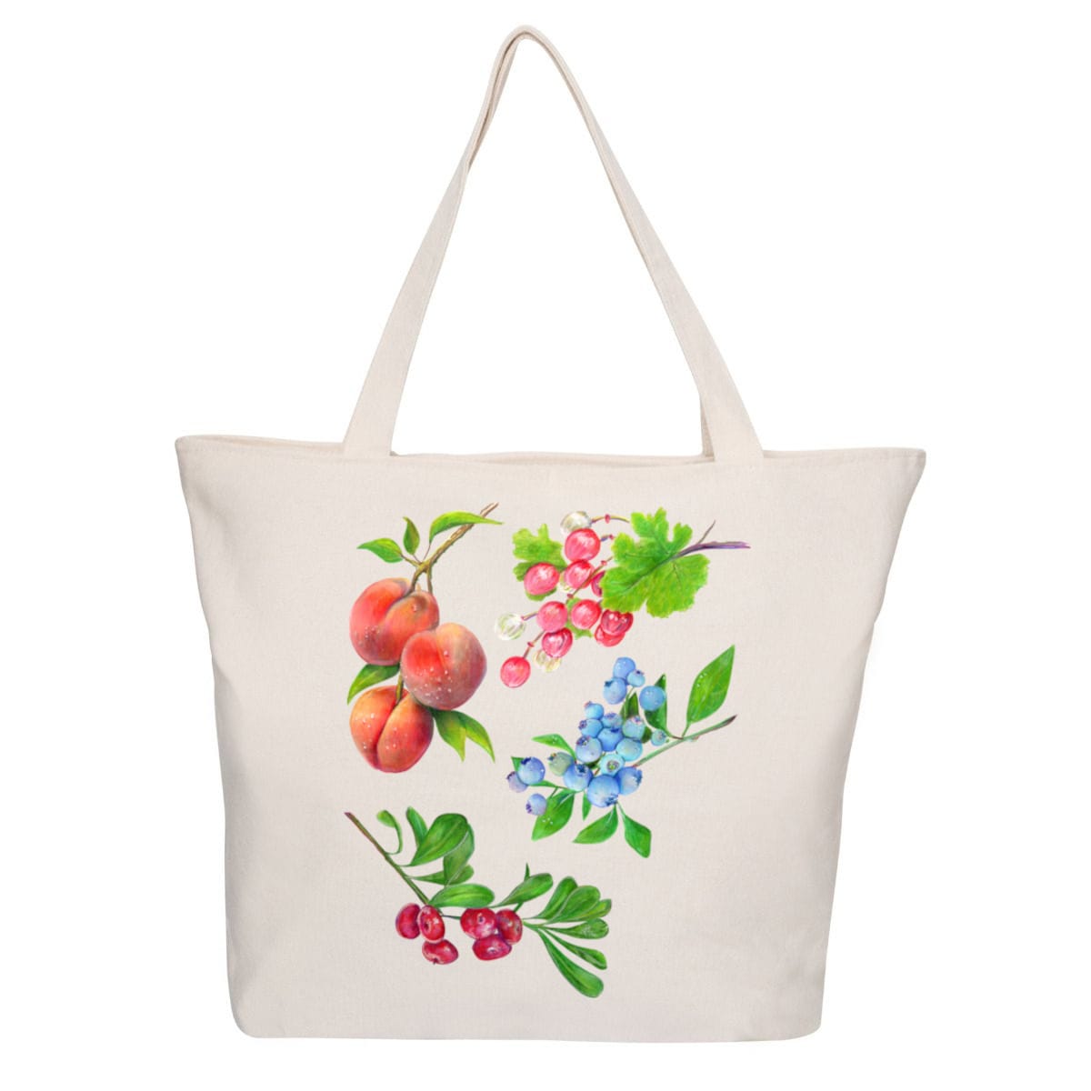 Fruits latin par Sophé
