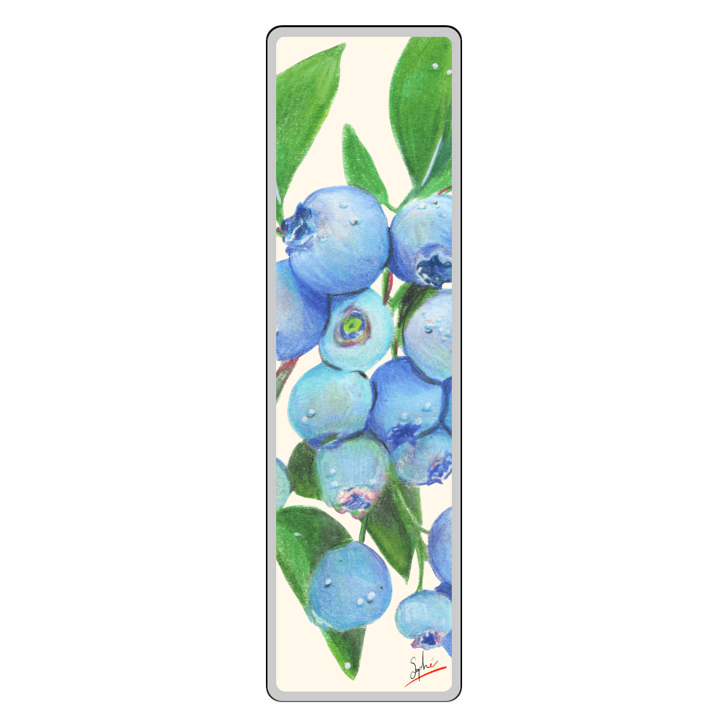 Bleuets par Sophé