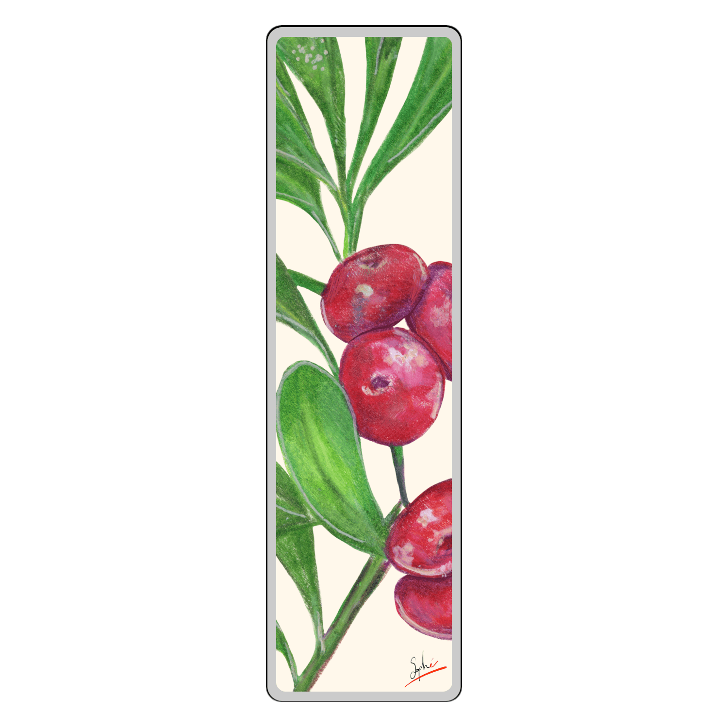 Canneberges par Sophé