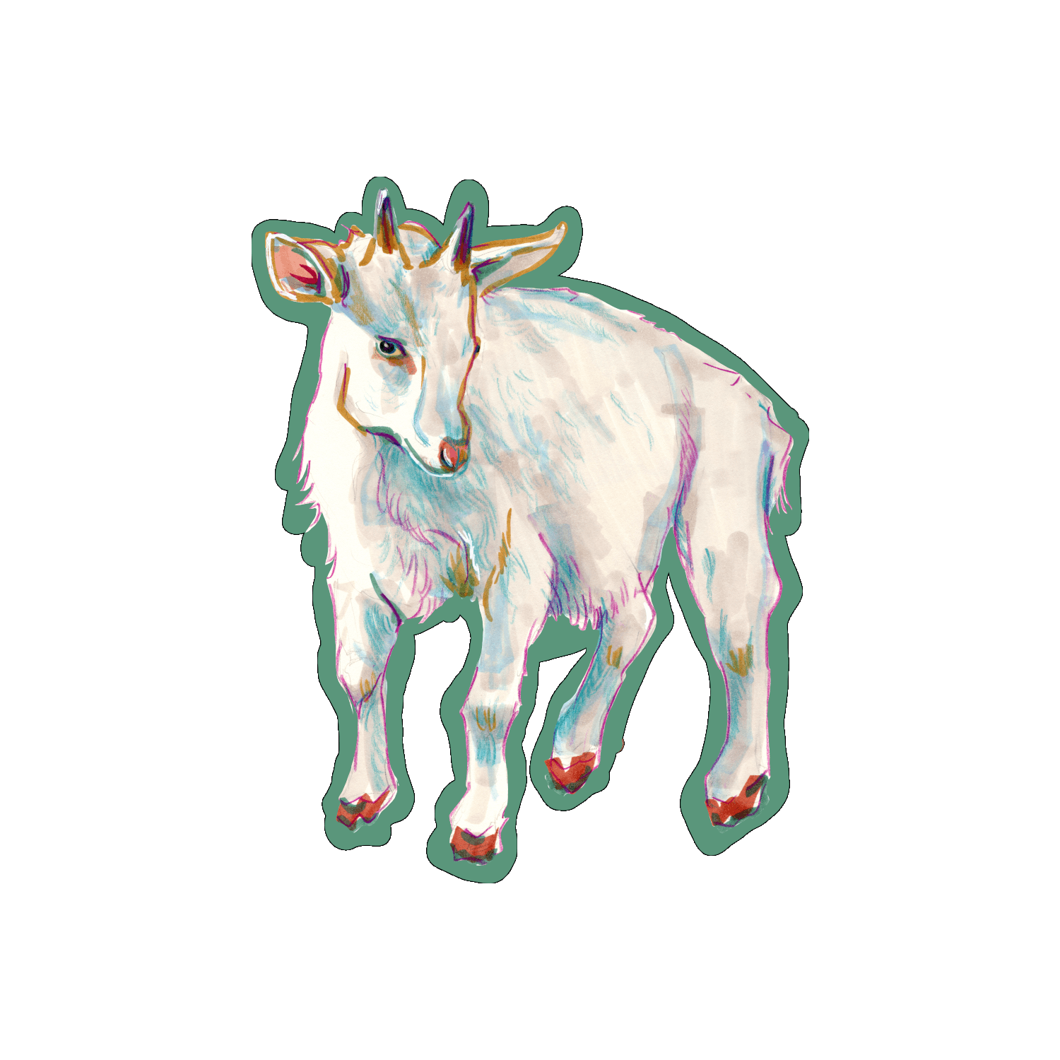 Chèvre blanche par Sophé