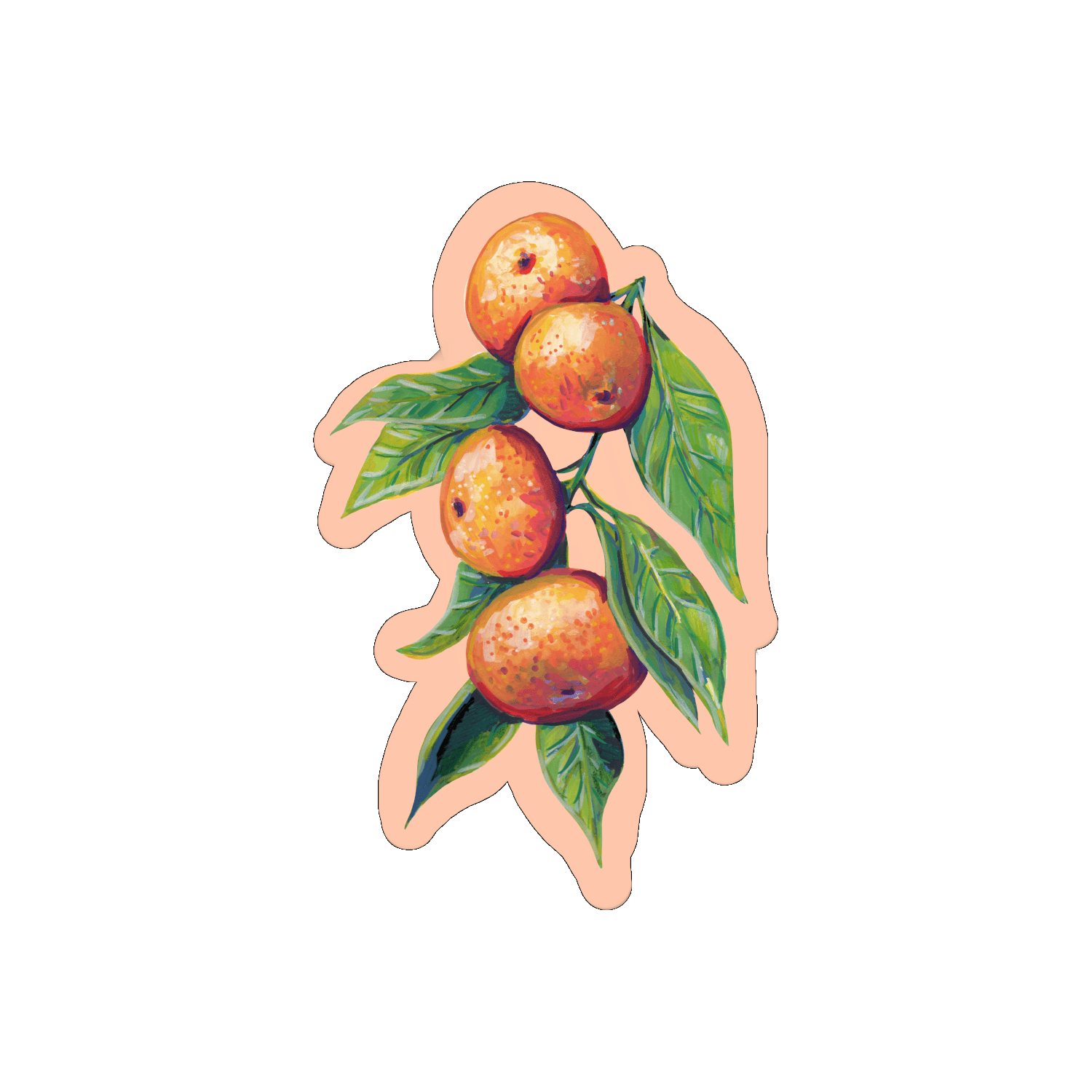 Oranges par Sophé