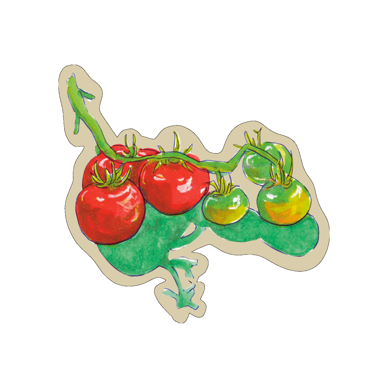 Tomates