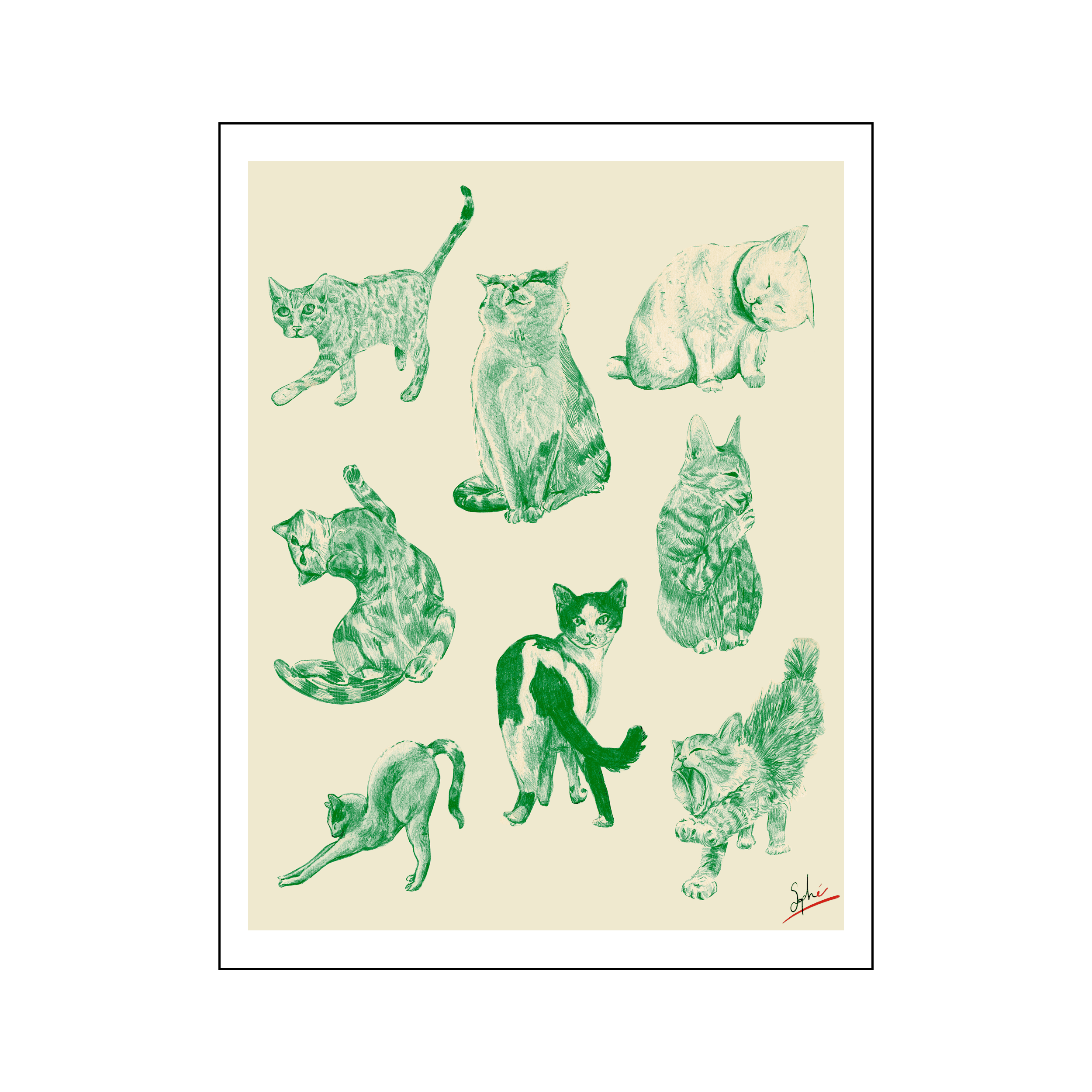 Vie de chat par Sophé