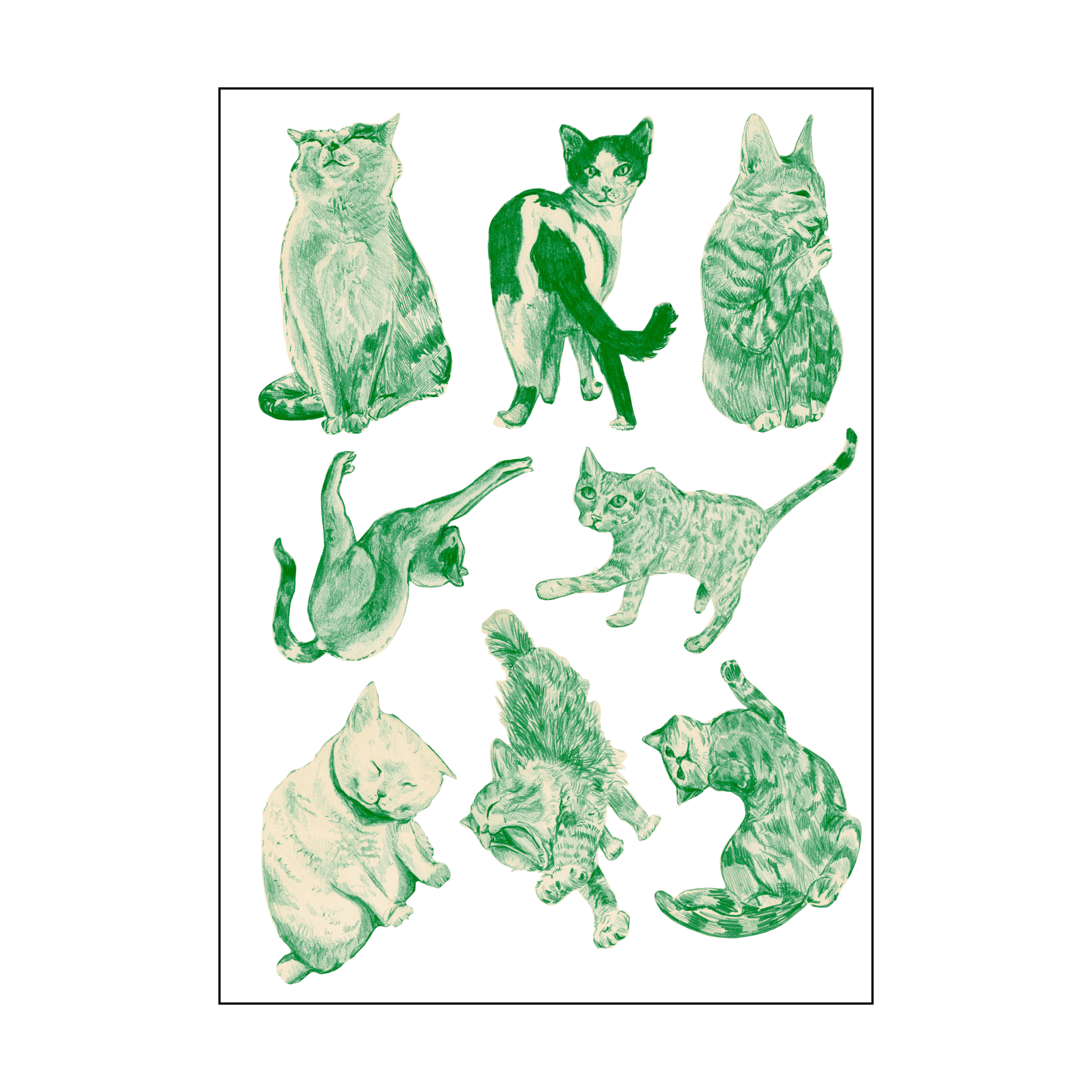Vie de chat par Sophé