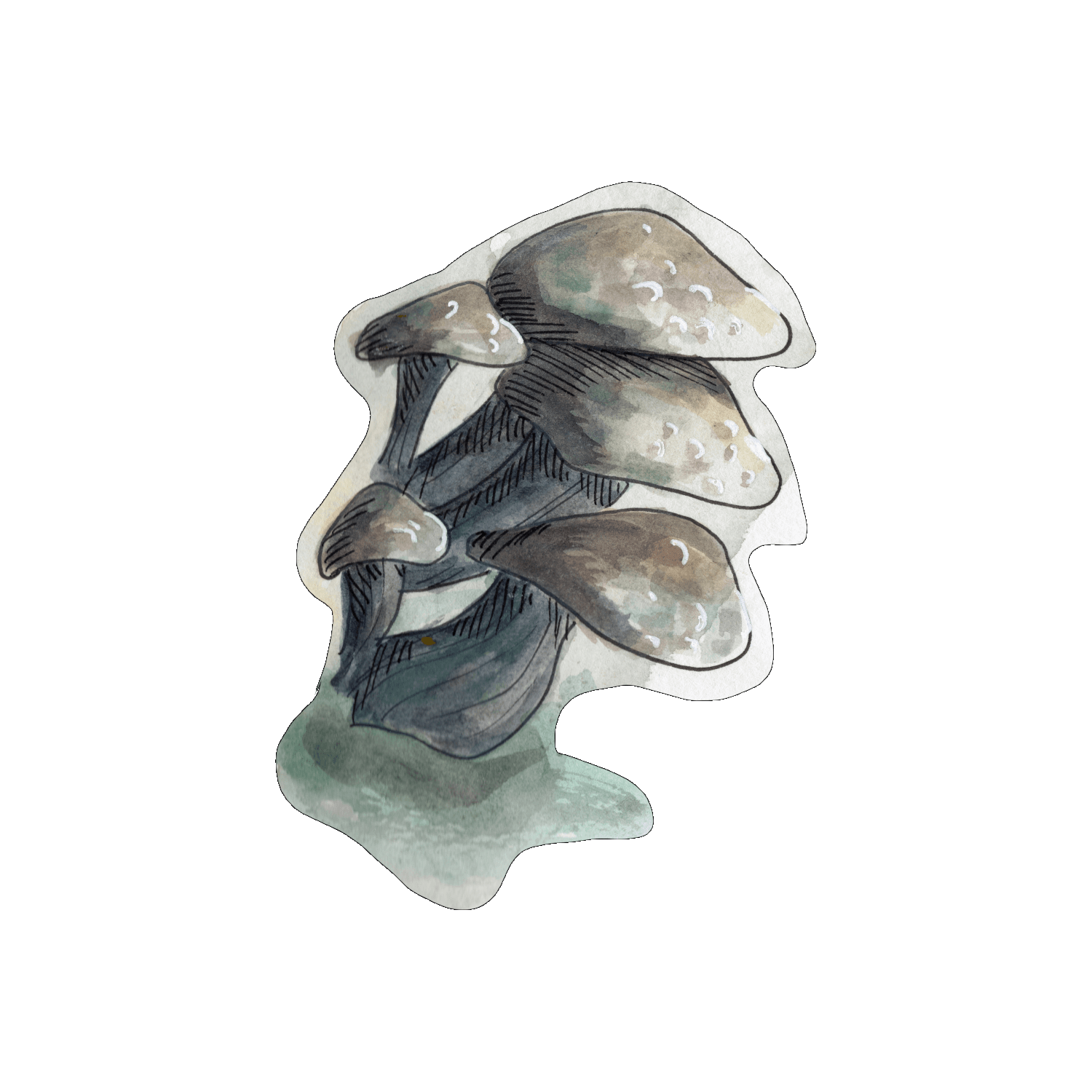 Champignon gris par Sophé