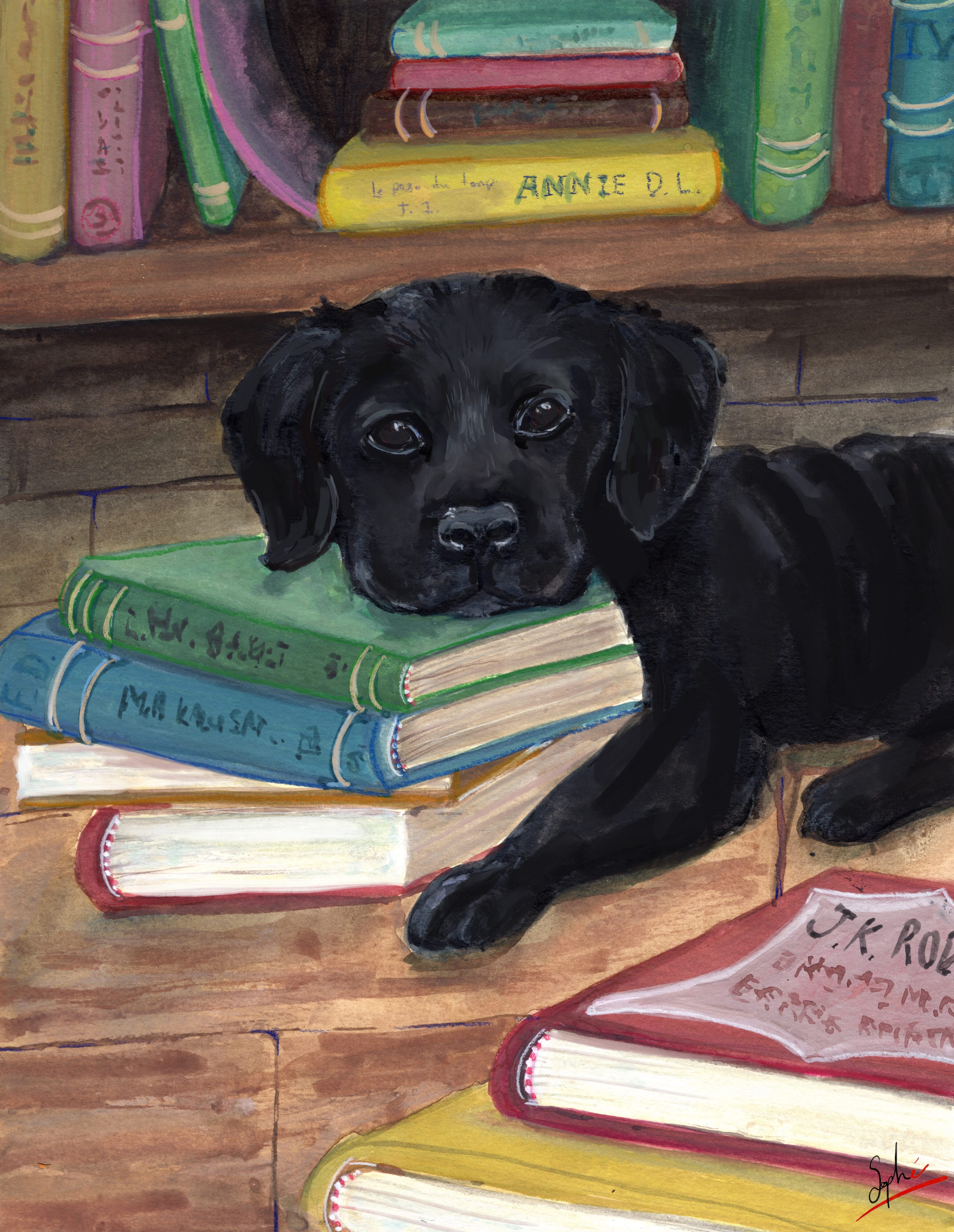 Chien et bibliothèque 2 par Sophé