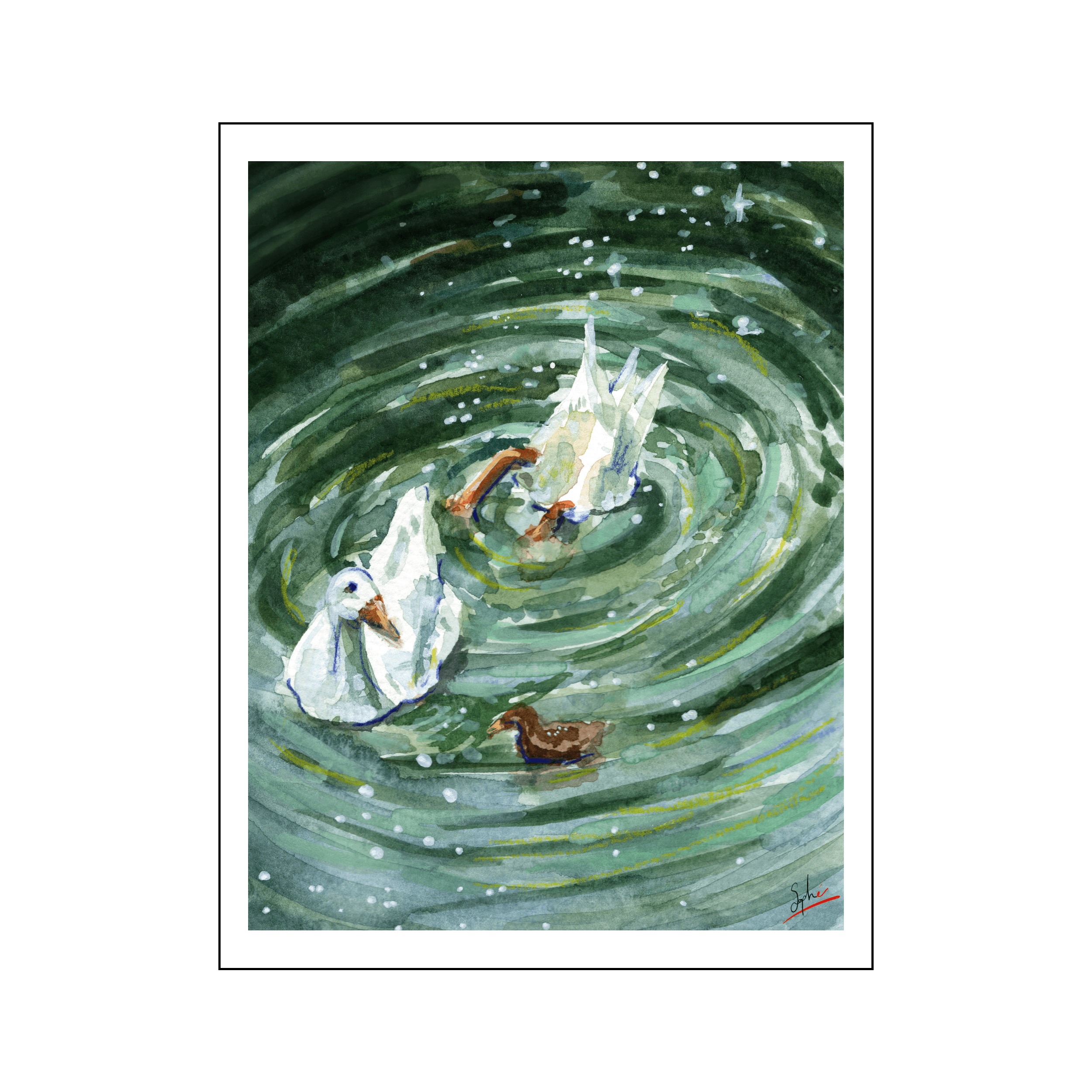Canards dans l'eau par Sophé