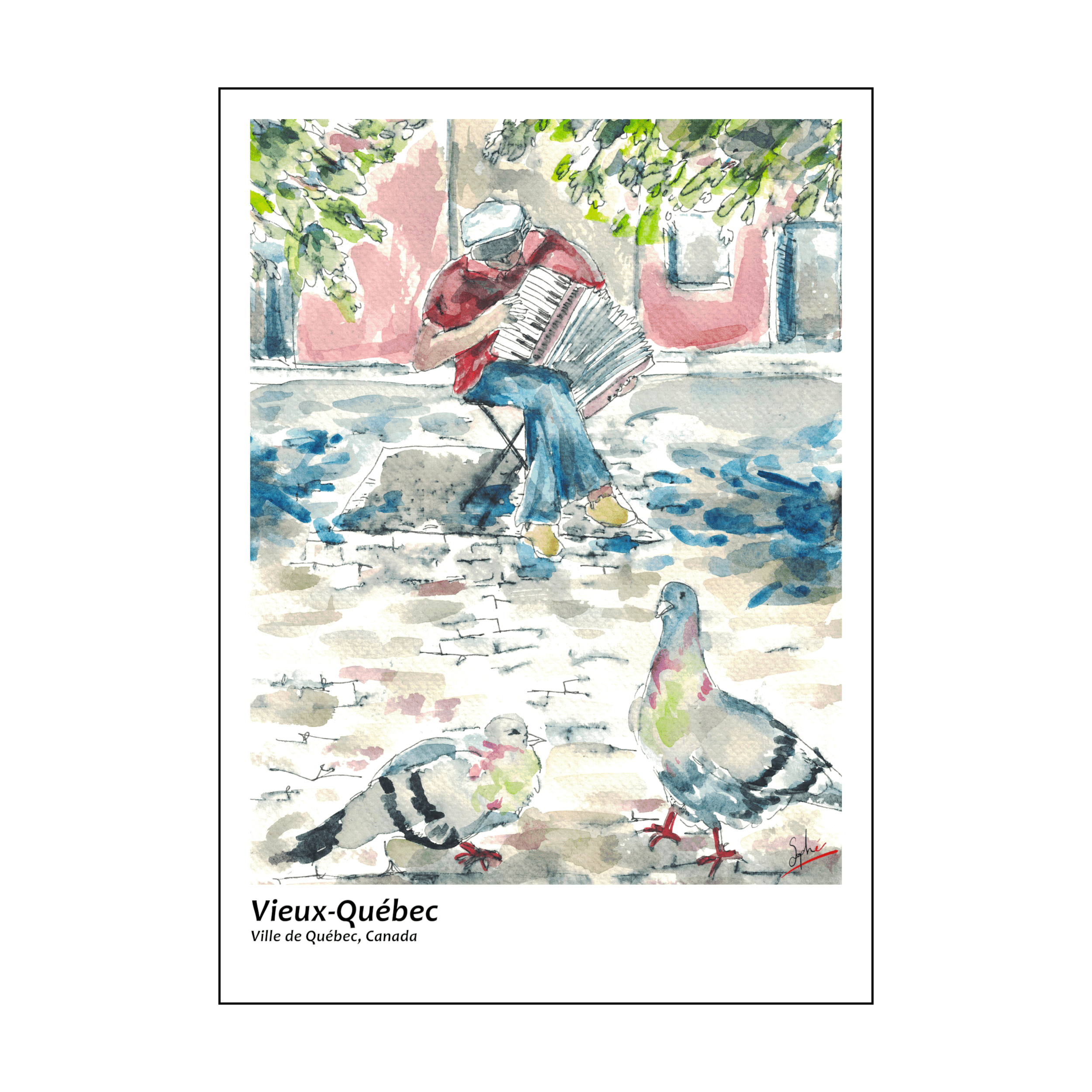 Pigeons et accordéon par Sophé